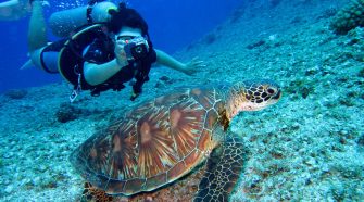 travel club lumea subacvatica fotografie