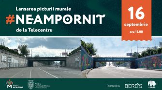 lansarea picturii murale #NeamPornit