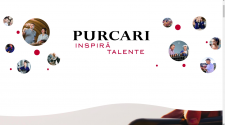 internship program purcari
